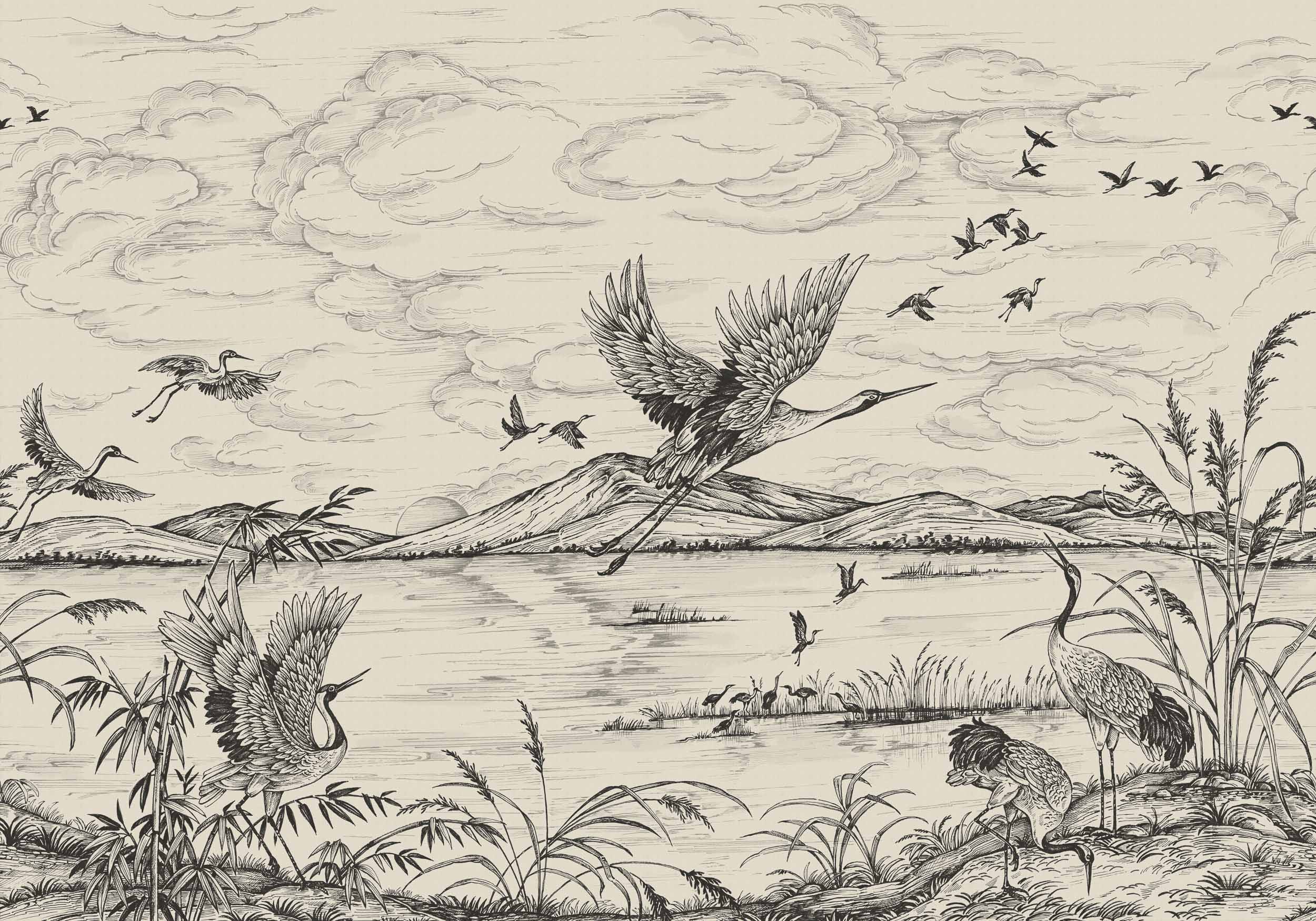 Heron’s Poetry, Nacre, Coordonne